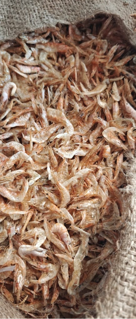 Dry Regular Shrimps – 500g Pack