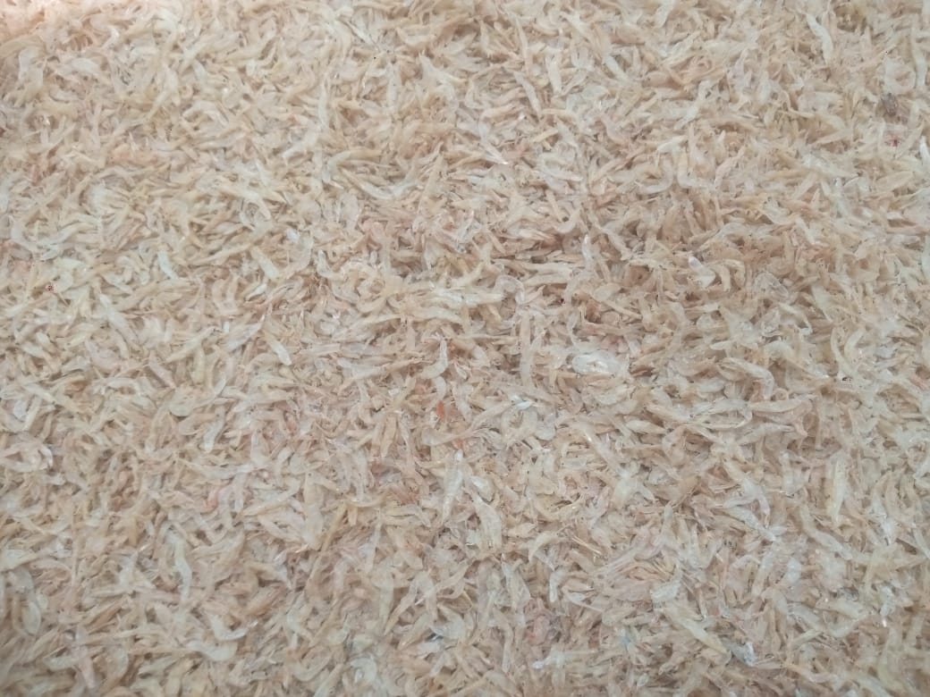 Dry Small Shrimps – 500g Pack