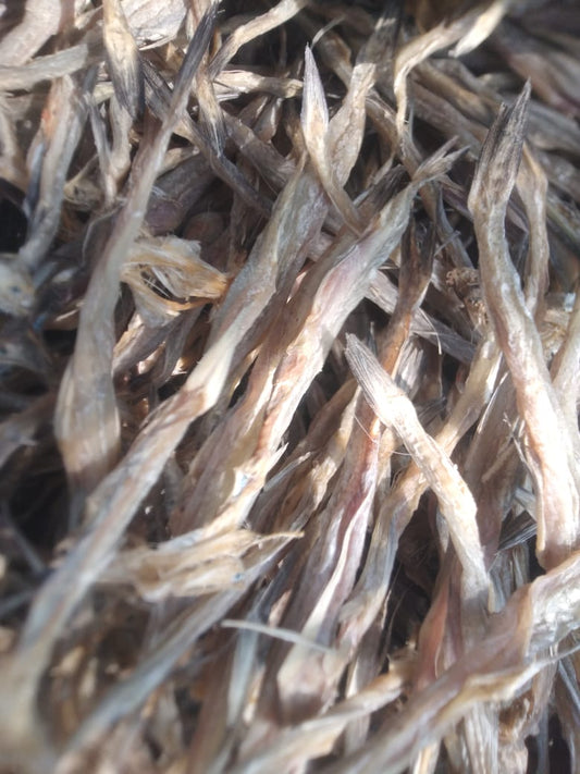 Dry Bombay Duck (Bombil) – 1kg Pack